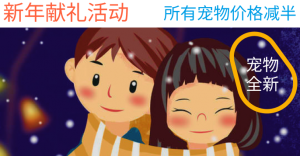 享玩新年献礼活动-成都宝兰