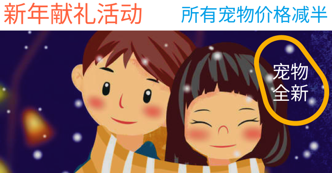享玩新年献礼活动-成都宝兰